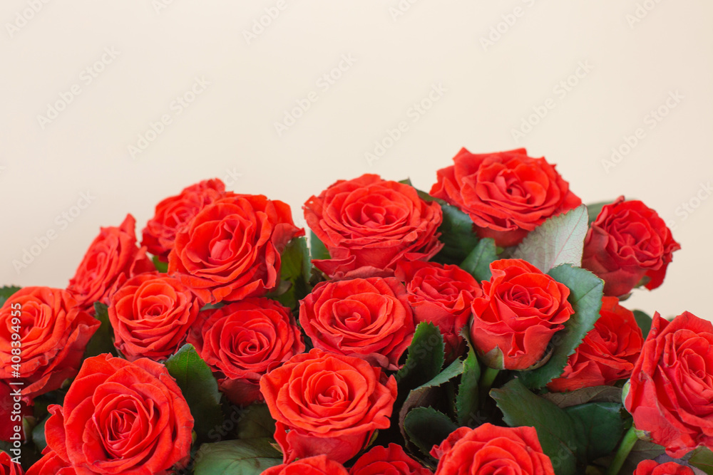 Beautiful bouquet of red roses on light background Beautiful bouquet of red roses on light background