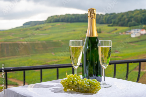 Tasting of french sparkling white wine with bubbles champagne on outdoor terrace with view on grand cru Champagne vineyards in Cramant, near Epernay, France photo