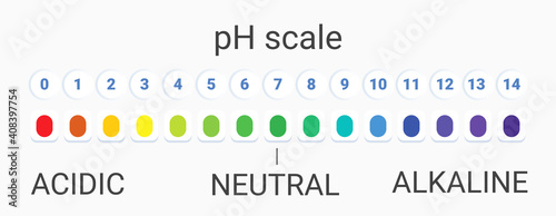 ph scale value. infographic acid-base balance. scale for chemical analysis acid base. vector illustration. colorful graph for test