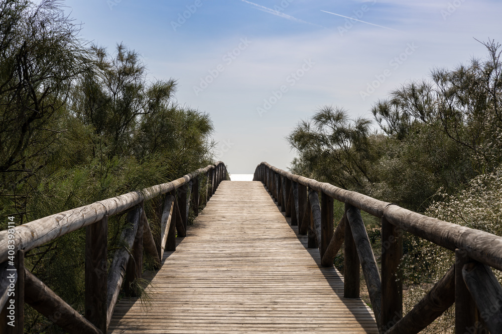 long wooden boardwalk and beach access leads to beach and glistening ocean long wooden boardwalk and beach access leads to beach and glistening ocean