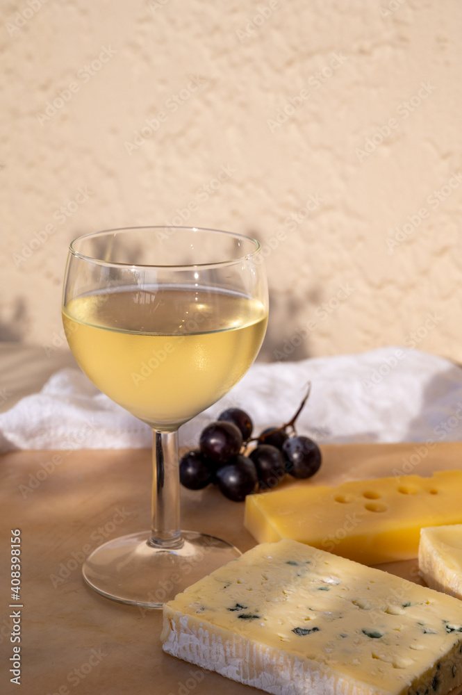 Tasting and pairing of cold white wine with different cheeses in sunny Provence, France Tasting and pairing of cold white wine with different cheeses in sunny Provence, France