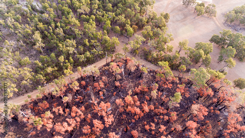 Aerial view of burnt and unburnt areas of forest photo