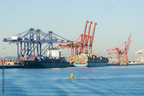Cargo ships lined up under cranes at a sea port photo
