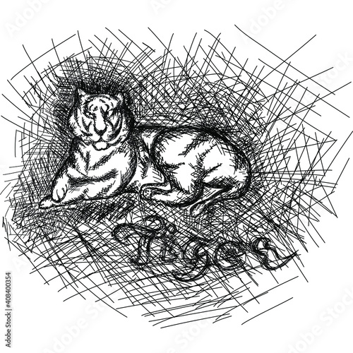 tiger