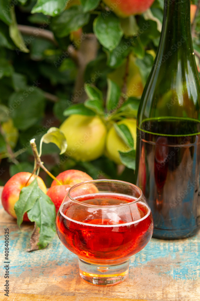 Glass of rose apple cider from Normandy, France and green apple tree with ripe red fruits on background Glass of rose apple cider from Normandy, France and green apple tree with ripe red fruits on background