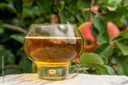 Glass of apple cider from Normandy, France and green apple tree with ripe red fruits on background © barmalini