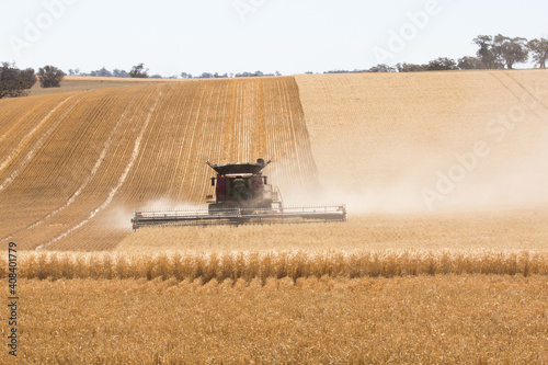 combine harvester harvesting wheat