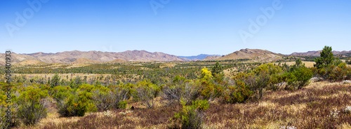 Bushes with range of hills in background and blue sky photo