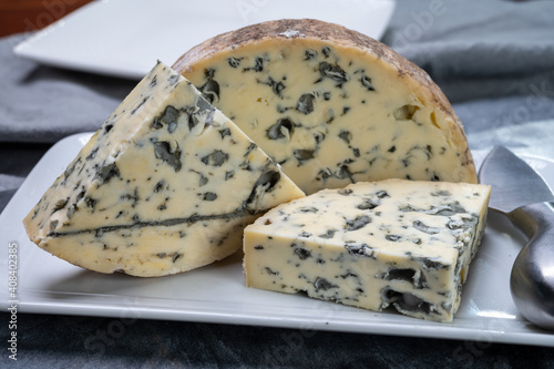 Cheese collection, piece of French blue cheese fourme d'ambert photo