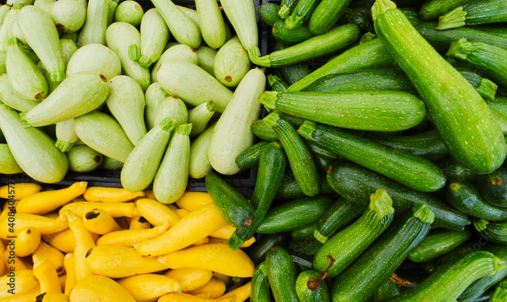 Heap of zucchini and squash Heap of zucchini and squash