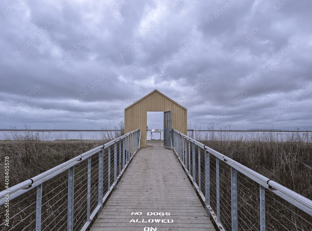 Fototapeta premium San Francisco Bay Area Park on Cloudy Day