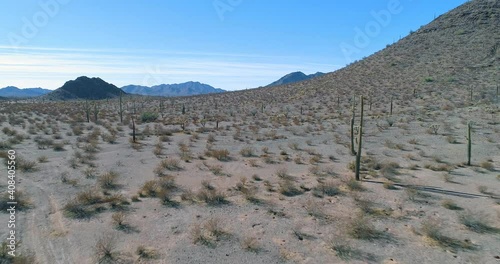 Aerial low flight over saguaro cactus in the Arizona desert