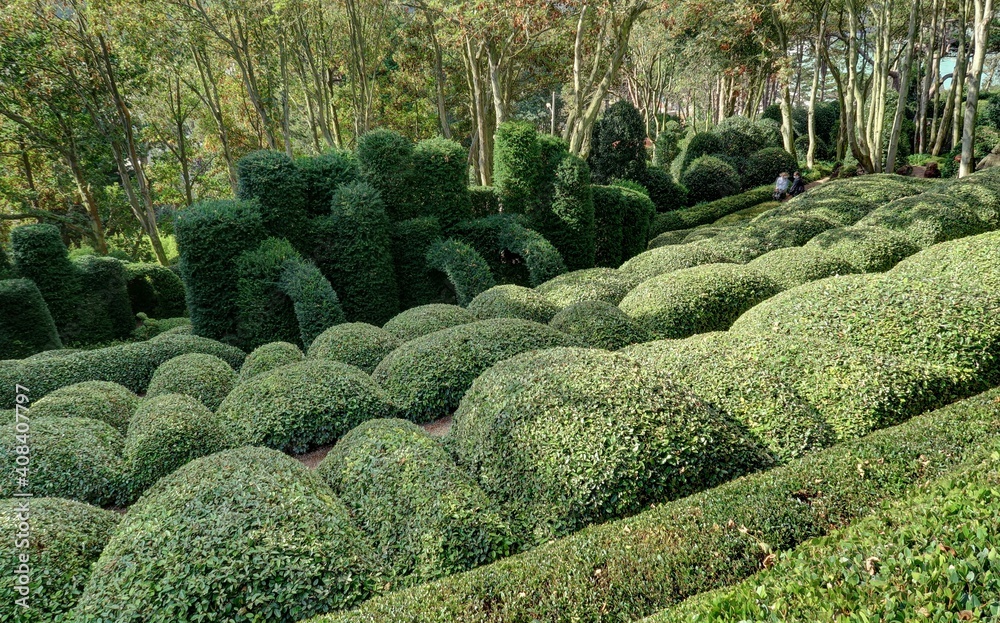 L'art topiaire dans un jardin 