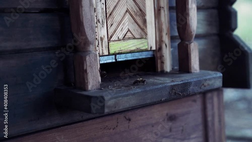 Bienen fliegen in eigenes Haus mit Landebahn