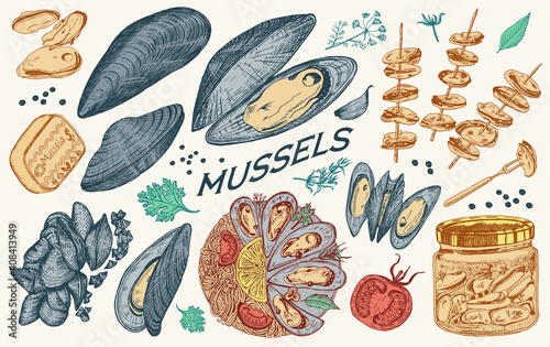 Sea mussels in vintage retro style. Nautical molluscs. Ocean food. Vector illustration. Hand drawn engraved retro sketch. Antique old monochrome style.