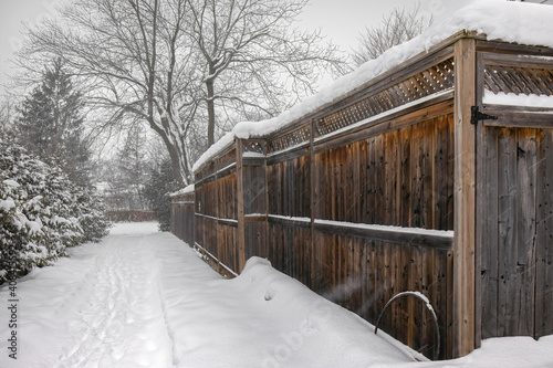 Long snow capped cedar fence along a snowy pathway with cedar hedges leading to a park during a snowfall nobody