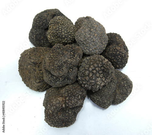 black prized truffle from Acqualagna called Tartufo pregiato nero di Acqualagna in the province of Pesaro Urbino in the north of Marche region photo