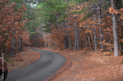 Asphalt road view together with autumn colors. Dried leaves, trees and silence nature. 