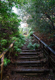 Old wooden stairs in the mountain path
