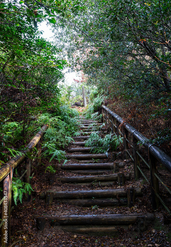 Old wooden stairs in the mountain path © m________k____