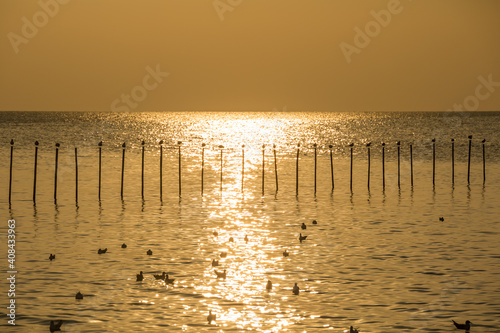 Silhouette of Many seagulls are flying in the sky and perched on the logs of the sea