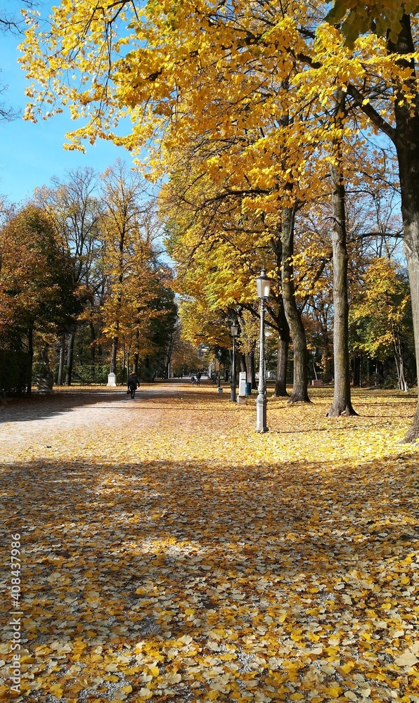 Naklejka premium Autunno