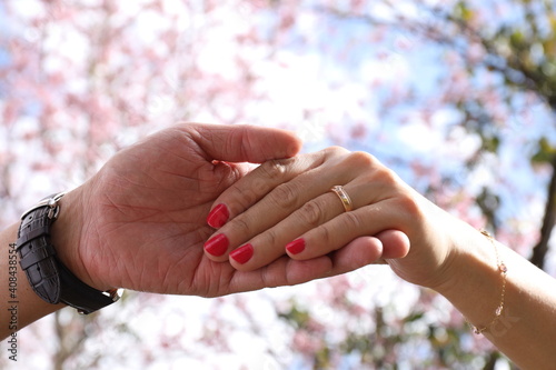 Noivado, mãos de noivos com aliança, aliança de noivado, noivado com fundo de sakura, cerejeira japonesa noivado photo