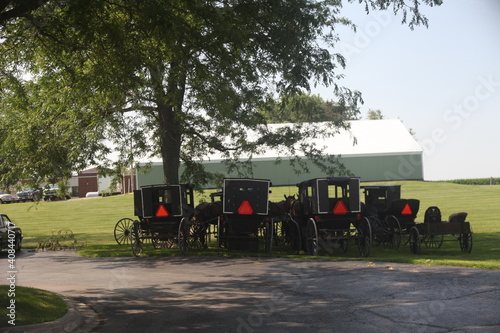 HORSE BUGGY, SEVERAL ON THE GREEN GRASS, CRRIAGE, OUTSIDE,  photo