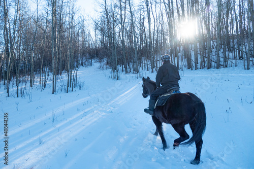 winter ride on a black horse