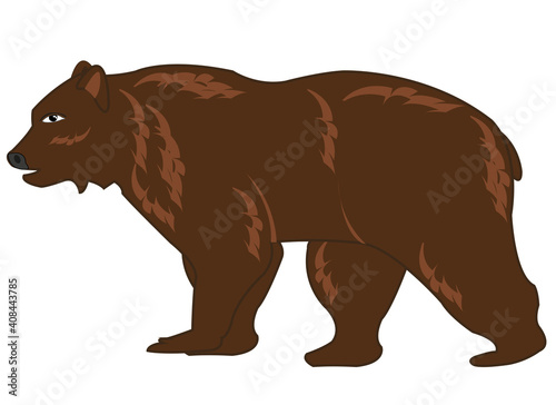 Vector illustration of the wildlife brown bear