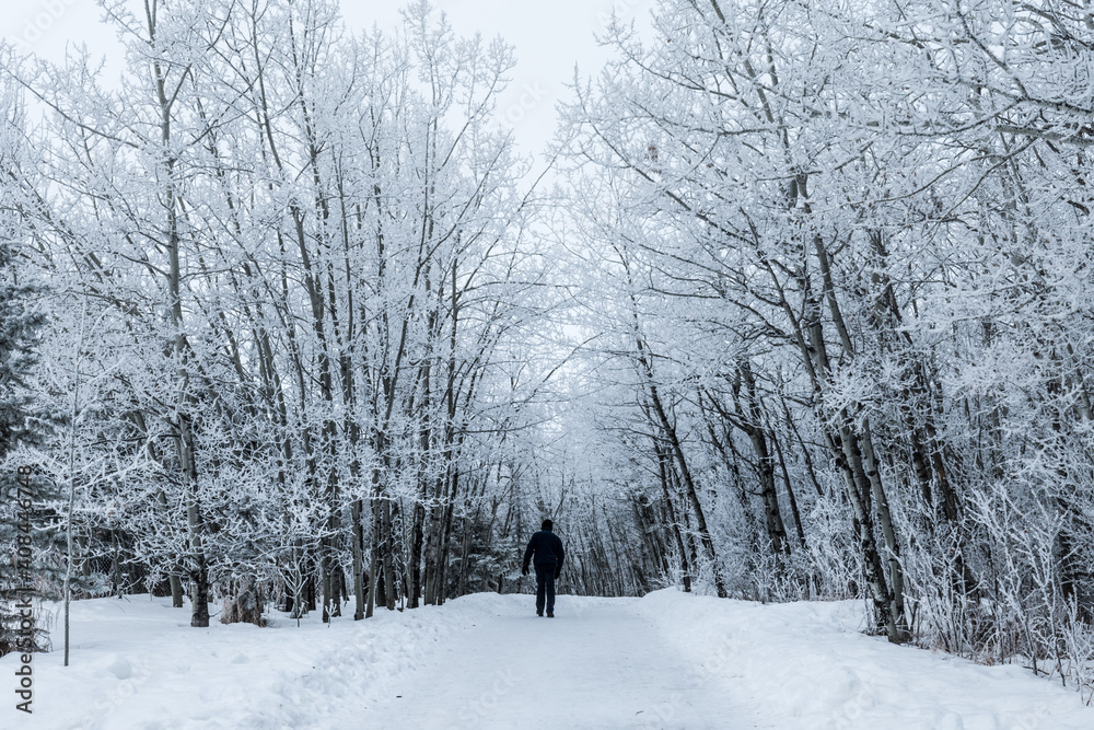 Man walking on a snow covered path in a beautiful forest winter background. Trees in hoarfrost winter wonderland landscape Man walking on a snow covered path in a beautiful forest winter background. Trees in hoarfrost winter wonderland landscape