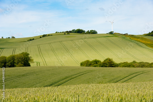 Konstfotografi Cornfields With Pinwheel