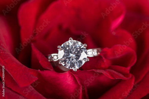 Closeup Diamond gem wedding ring in red rose © zhikun sun