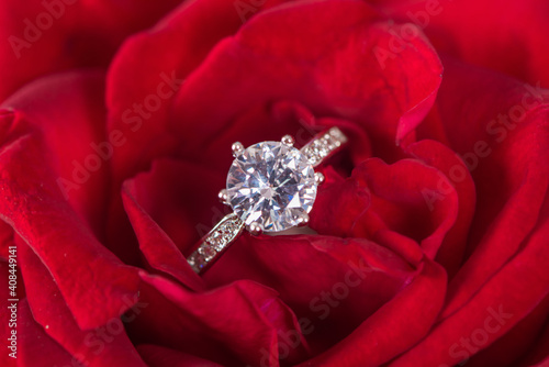 Fototapeta Naklejka Na Ścianę i Meble -  Closeup Diamond gem wedding ring in red rose