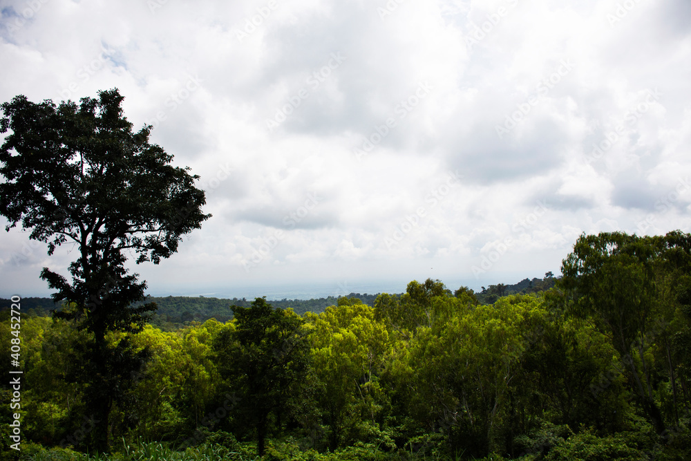 Viewpoint and landscape jungle on Phu Foi Lom in Pa Phan Don National Forest Reserve for thai people and foreign travelers travel visit at Nong Saeng city in Udon Thani, Thailand