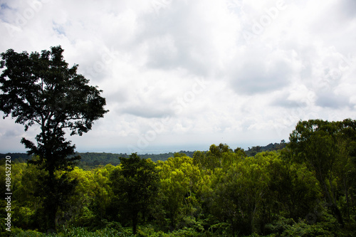 Viewpoint and landscape jungle on Phu Foi Lom in Pa Phan Don National Forest Reserve for thai people and foreign travelers travel visit at Nong Saeng city in Udon Thani, Thailand