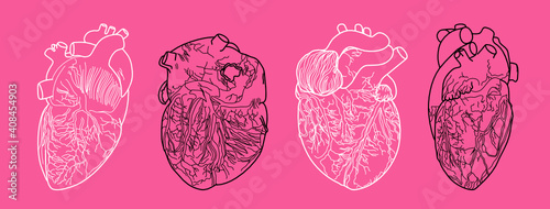 Four fine art line of physical heart in different sides in white and black drawing
