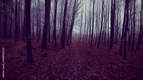 Winter walk in forest on a rainy day. Foggy atmosphere. POV shot on a gimbal. Natural background with high quality sounds of raindrops and footsteps walking on narrow trail with crunching leaves. 4K