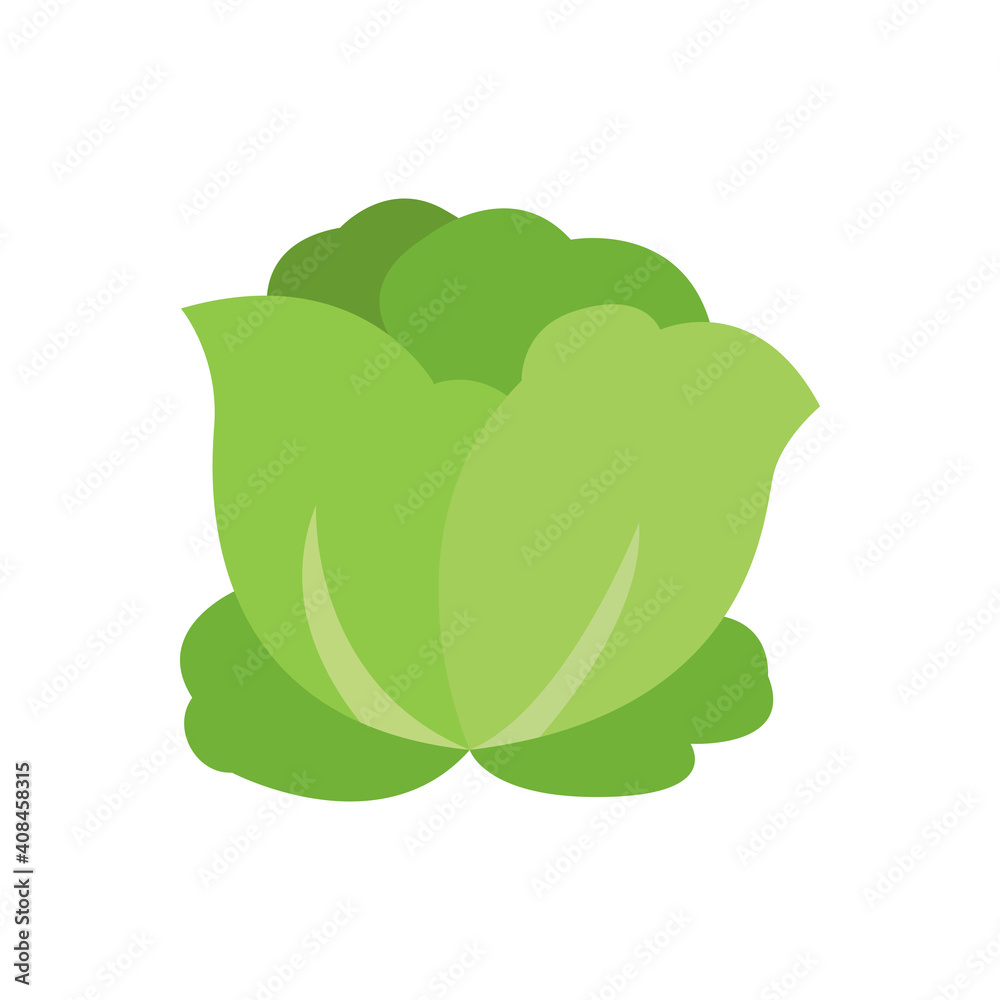 Cabbage icon