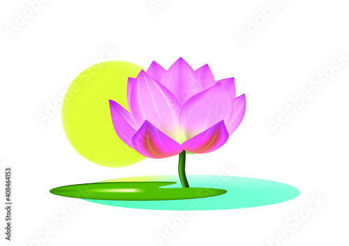 Vector illustration of lotus flower in the pond