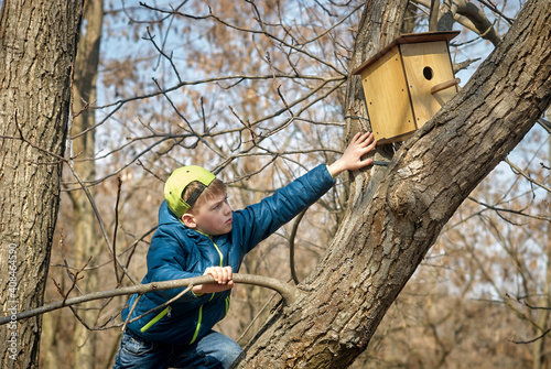 A boy on a spring day in a tree with a birdhouse