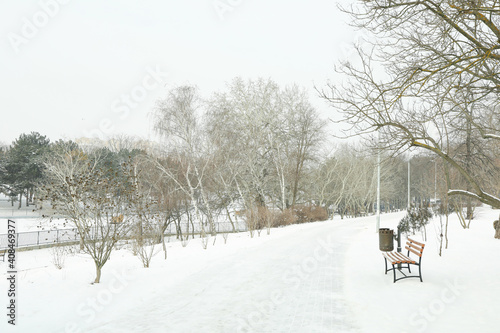 Cozy park with snow in amazing winter weather