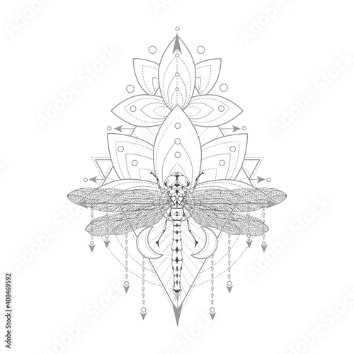 Vector illustration with hand drawn dragonfly and Sacred symbol on white background. Abstract mystic sign. Black linear shape.