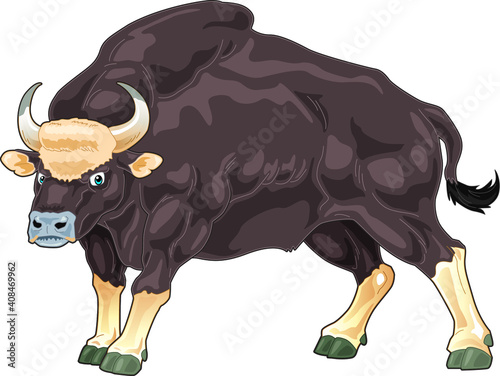 Malayan Gaur Cartoon Illustration with huge muscular body
