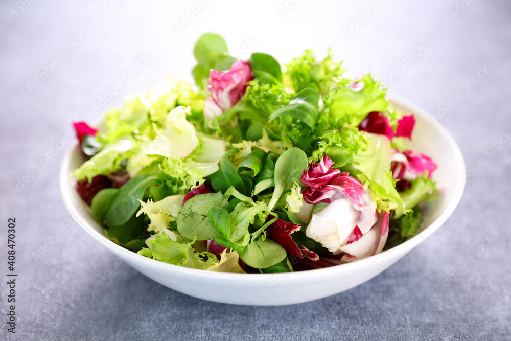 bowl of fresh lettuce leaf bowl of fresh lettuce leaf