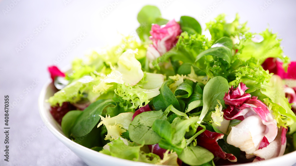 bowl of fresh lettuce leaf bowl of fresh lettuce leaf
