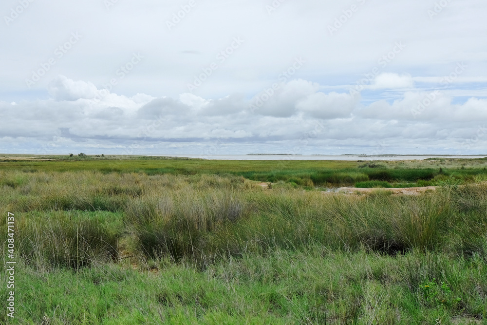 african plain landscape