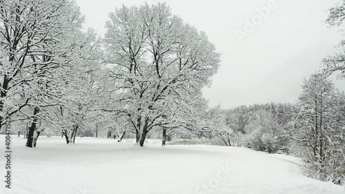 Wallpaper Mural Drone shot flying on winter forest. Slow flight in forest on winter season. A beautiful winter landscape during a snowfall.
 Torontodigital.ca