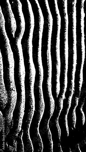 Sand ripples texture