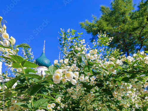 The Bell Tower Of The Temple Of Elijah The Prophet. Soviet square. Yaroslavl. Beautiful hipped bell tower. Snowy